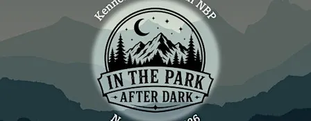 In the Park After Dark!