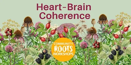 Heart–Brain Coherence Practice
