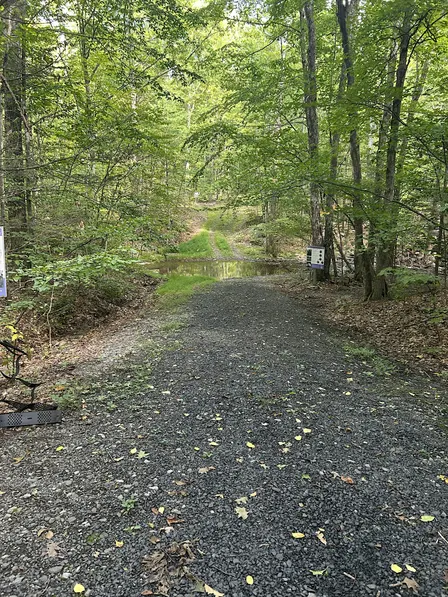 Stream Side Forest Management
