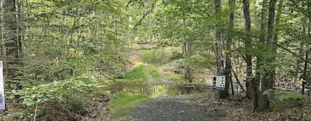 Stream Side Forest Management