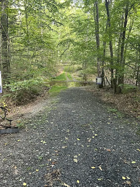 Stream Side Forest Management