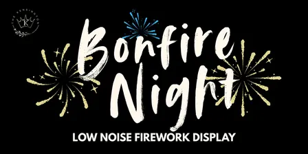 Low Noise Firework Display
