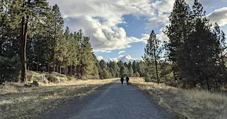 Deschutes South Canyon Green Space Report