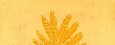 GOLDEN : A Sunprint + Tea Ritual