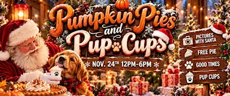 Pumpkin Pie and Pup Cups