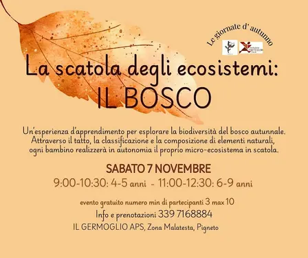 La scatola degli ecosistemi: il bosco (6-9 anni)