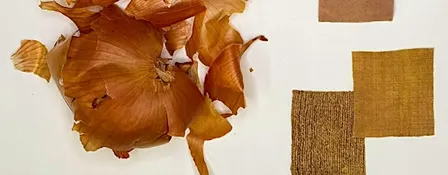 Toronto Foodways: Natural Dyeing