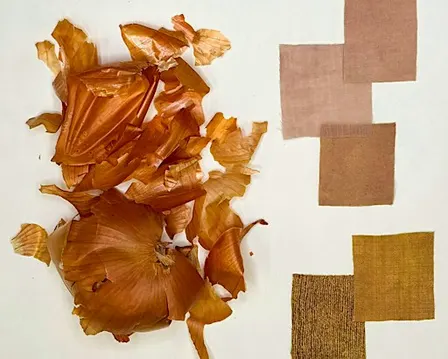 Toronto Foodways: Natural Dyeing
