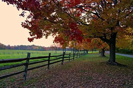 Take a Hike Day at Knox Farm State Park