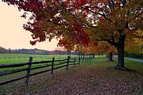 Take a Hike Day at Knox Farm State Park