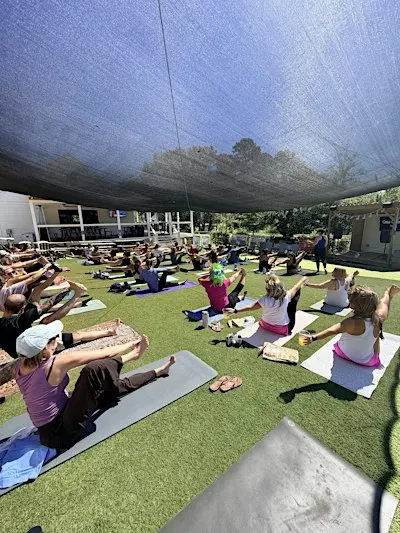 Mimosa Yoga at Lazy Creek Taphouse