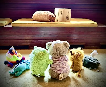 Teddy Bear Sleepover at the Dana-Thomas House
