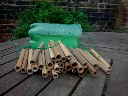 Make a Bug Hotel
