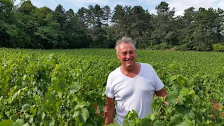Emmanuel Giboulot, a cutting edge Burgundy producer