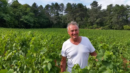 Emmanuel Giboulot, a cutting edge Burgundy producer