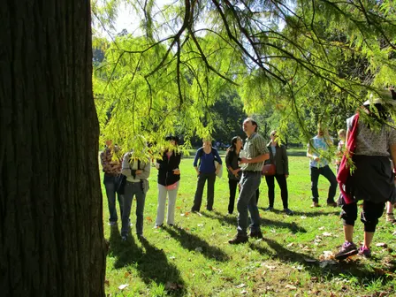 Tree Walk in Forest Hill Park