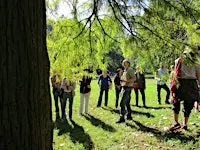 Tree Walk in Forest Hill Park