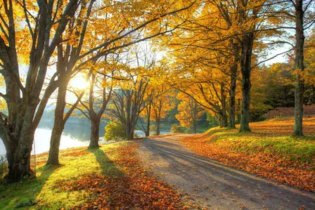Starting to Feel Better. Now What? A Life After Depression Workshop
