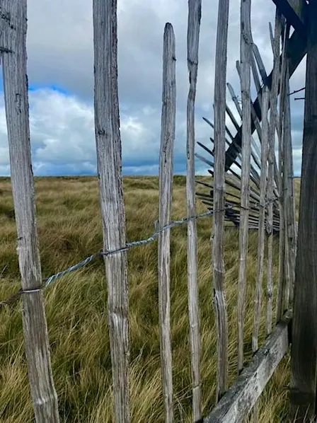 Art Hike 70 - Dunford Bridge Circular