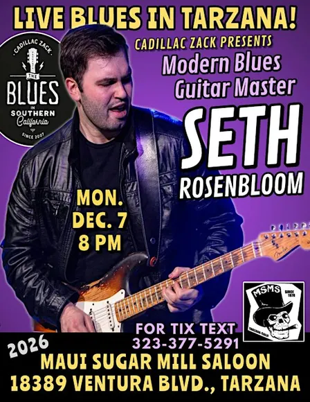 SETH ROSENBLOOM - Modern Blues Guitar Great - in Tarzana!
