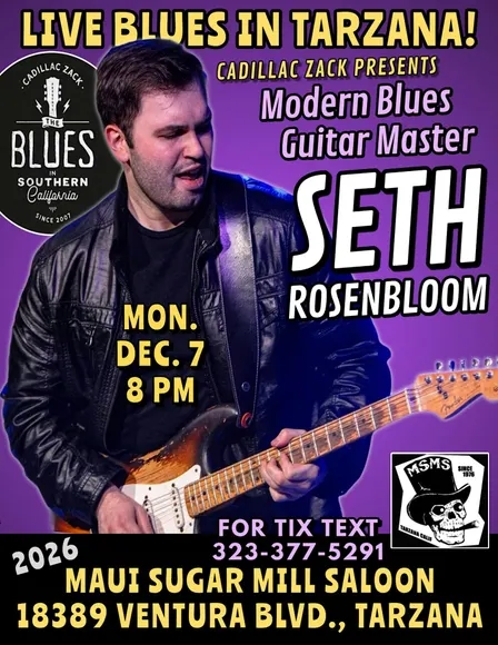 SETH ROSENBLOOM - Modern Blues Guitar Great - in Tarzana!