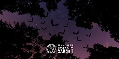 Wildlife After Dark: A Halloween Evening at the Garden