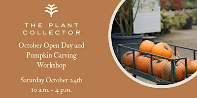 October Open Day and Pumpkin Carving Workshop