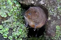 Connected Conservation Cumbrian Regional Workshop