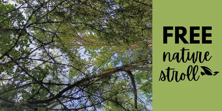 Free: SenseScape: Guided Nature Therapy Stroll