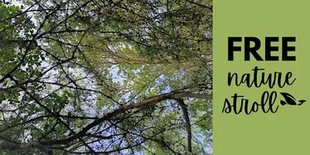 Free: SenseScape: Guided Nature Therapy Stroll