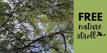Free: SenseScape: Guided Nature Therapy Stroll