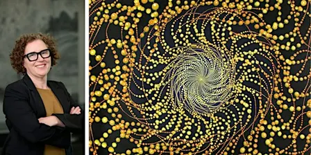 Director as Curator: Gallery Spotlight