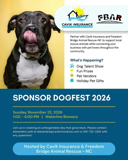 DogFest 2026