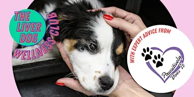 Dog-Friendly Wellness Club with The Liver Dog and Pawsitively Does It