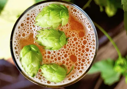 Community Table: Fresh-Hopped Rice Ale, Pt.1