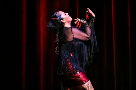 Discover your Flamenco Passion with Carmen Romero