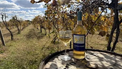 Winery Tour and Tasting at R&S Vineyards / Echo Spirits on the Vine