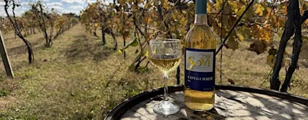 Winery Tour and Tasting at R&S Vineyards / Echo Spirits on the Vine