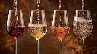 Wine 101 - How to Pair Wine With Stuff Part II - Thanksgiving Edition