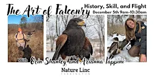 The Art of Falconry: History, Skill and Flight