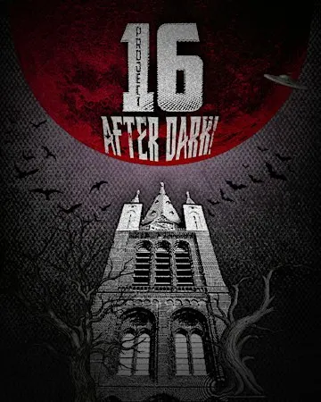 Project 16: After Dark!