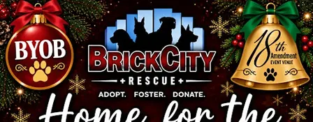 Home for the Howlidays Tricky Tray