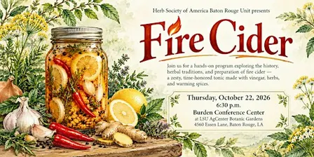 Fire Cider—a Hands-on Workshop