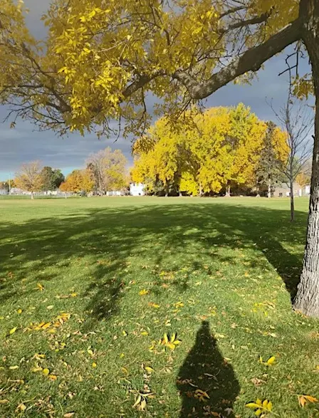 Billings Community Vendor & Craft Fair