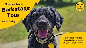 Barkstage Pass Tour