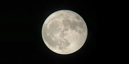 Full Moon Hike: " Beaver Moon"