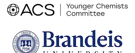 NSYCC 11th Annual Fall Career Symposium at Brandeis University