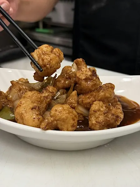 Vegan Tour of Asia