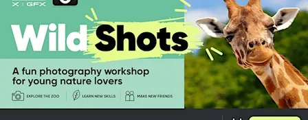 Wild Shots