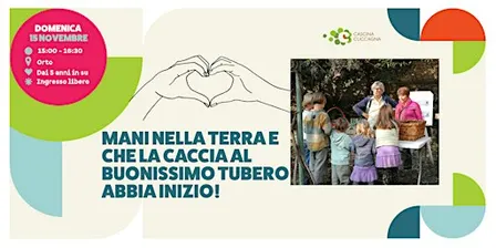 Mani nella terra e che la caccia al buonissimo tubero abbia inizio!